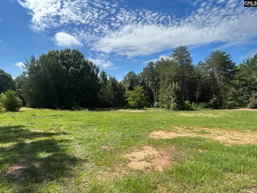 110 Bebe Way, Little Mountain, SC 29075 - #3