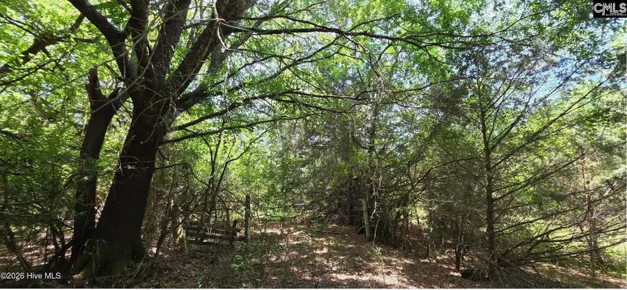 20 Acres Chestnut Ridge Road, McCormick, SC 29835 - #2