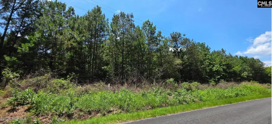 20 Acres Chestnut Ridge Road, McCormick, SC 29835 - #3
