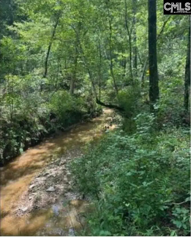 10 Acres Old Edgefield Road, Ninety Six, SC 29666 - #1