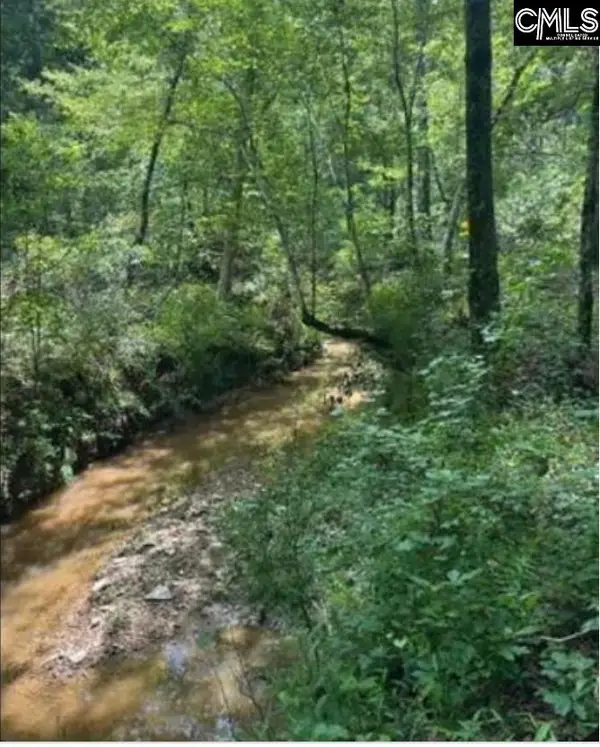 10 Acres Old Edgefield Road, Ninety Six, SC 29666
