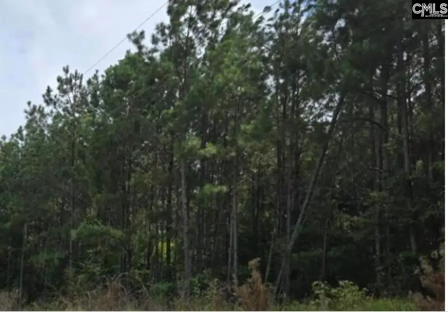 10 Acres Old Edgefield Road, Ninety Six, SC 29666 - #2