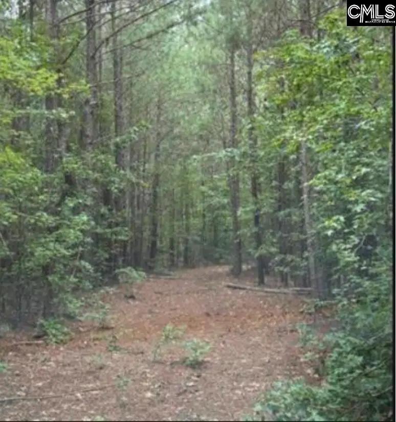 10 Acres Old Edgefield Road, Ninety Six, SC 29666 - #3