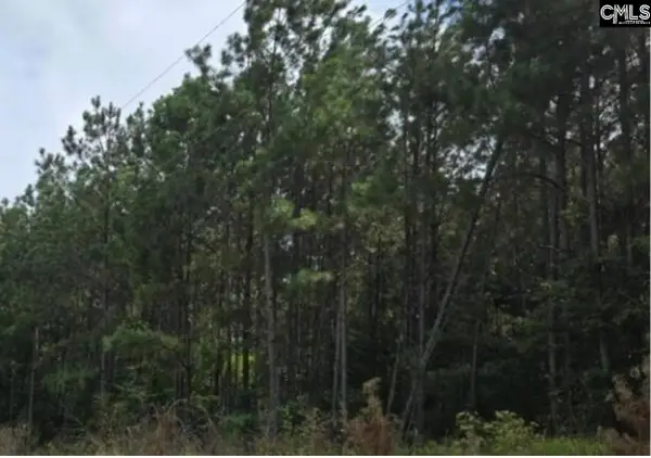 5 Acres Old Edgefield Road, Ninety Six, SC 29666