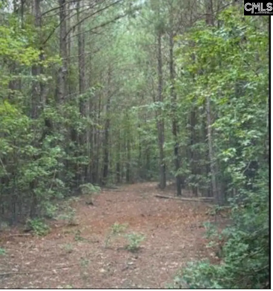 5 Acres Old Edgefield Road, Ninety Six, SC 29666 - #2