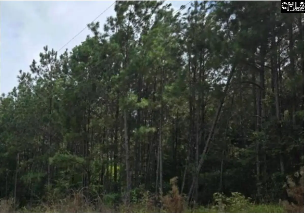 3 acres Old Edgefield Road, Ninety Six, SC 29666 - #1