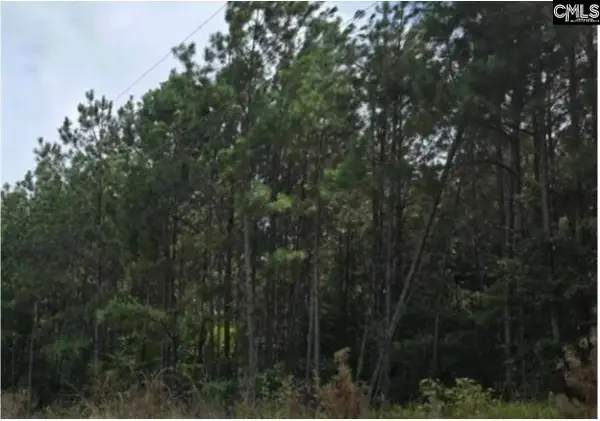 3 acres Old Edgefield Road, Ninety Six, SC 29666