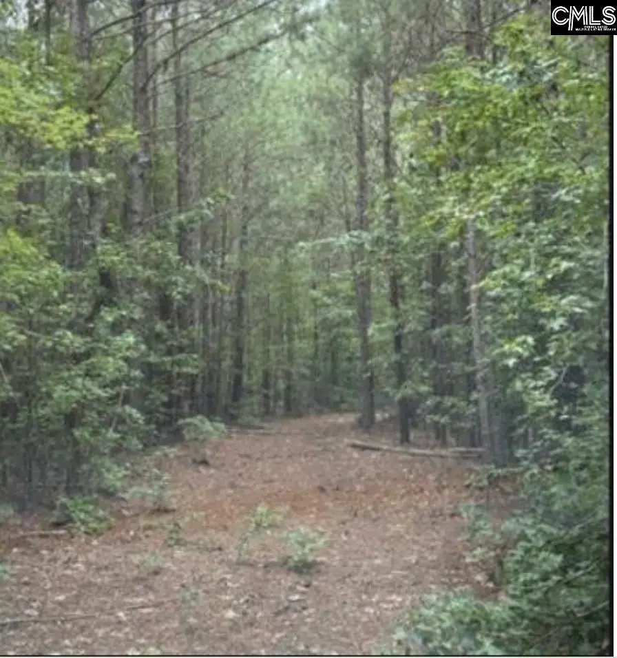 3 acres Old Edgefield Road, Ninety Six, SC 29666 - #2