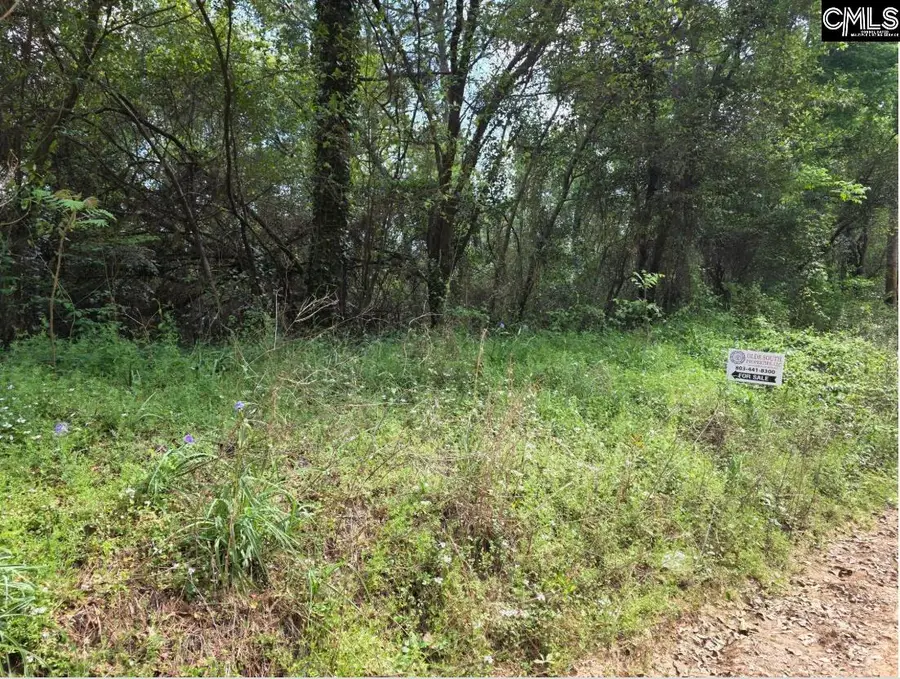 6 Acres Woodberry Lane, North Augusta, SC 29841 - #2