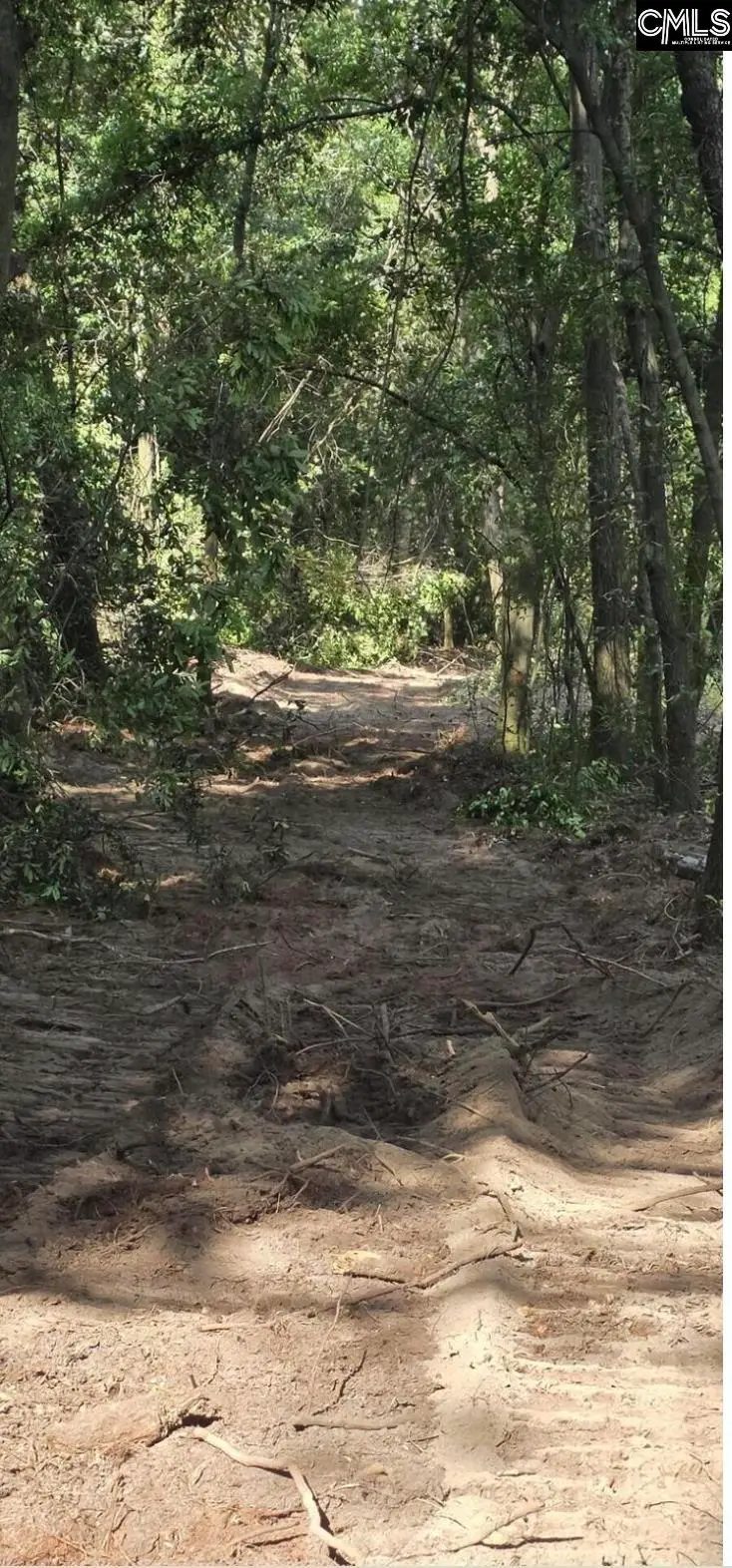 6 Acres Woodberry Lane, North Augusta, SC 29841 - #3