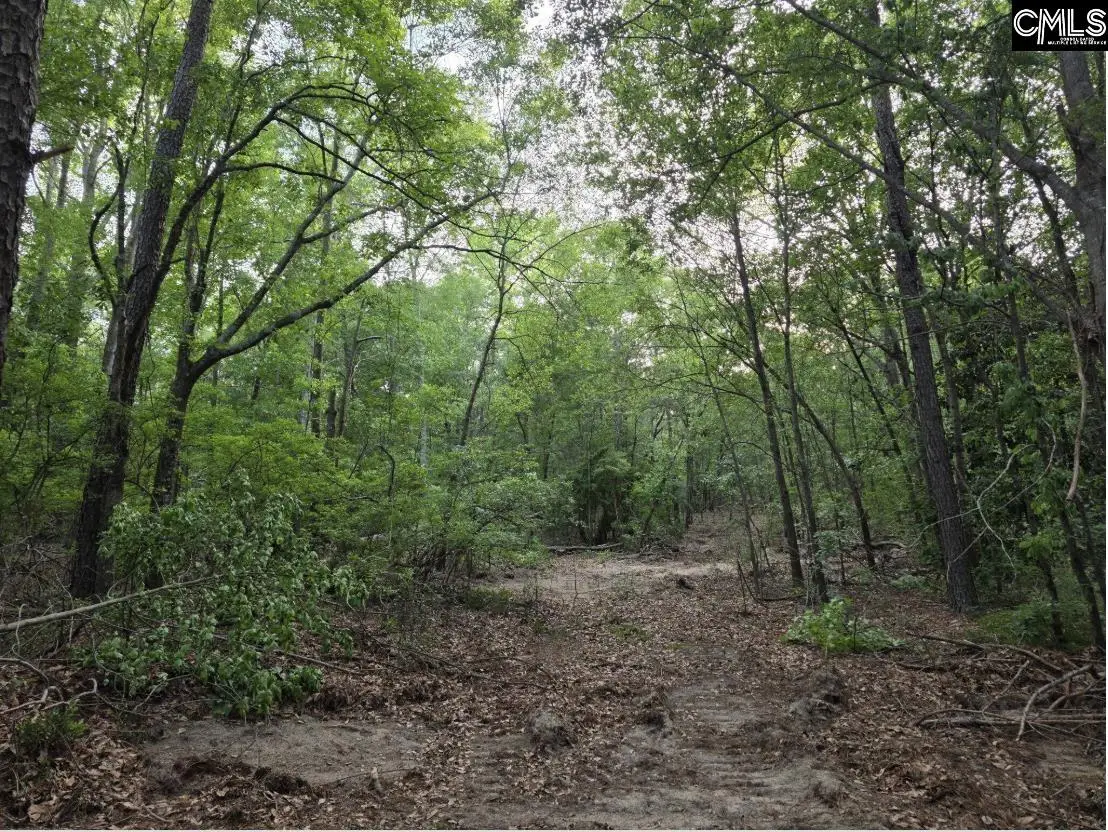 7 Acres Woodberry Lane, North Augusta, SC 29841 - #1