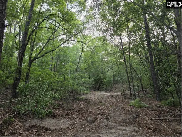 7 Acres Woodberry Lane, North Augusta, SC 29841