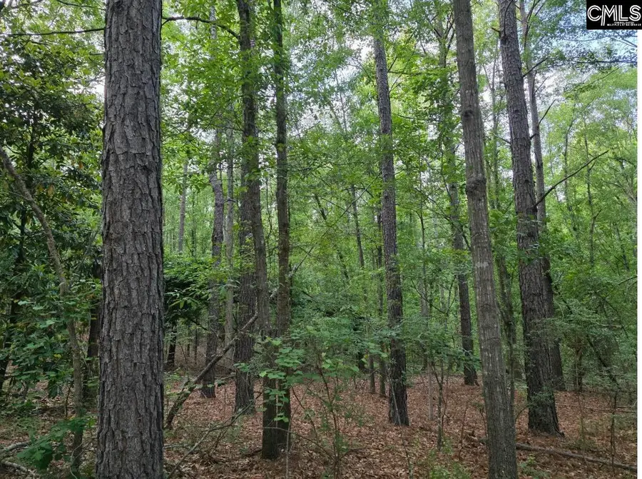7 Acres Woodberry Lane, North Augusta, SC 29841 - #2