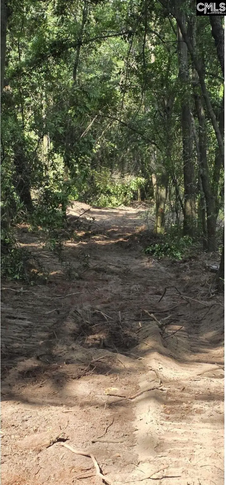 7 Acres Woodberry Lane, North Augusta, SC 29841 - #3