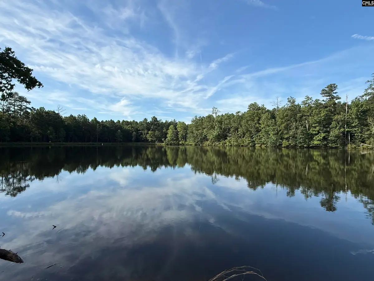 469 Brodie Road, Leesville, SC 29070 - #1