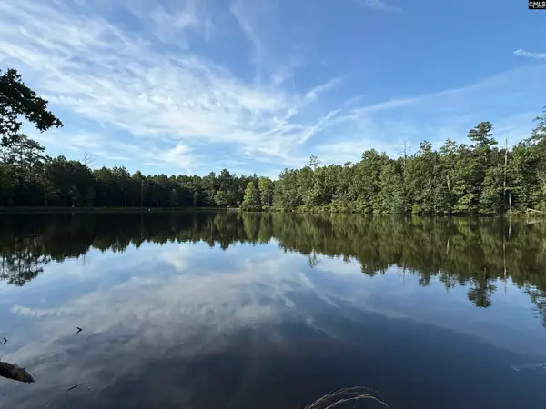 469 Brodie Road, Leesville, SC 29070
