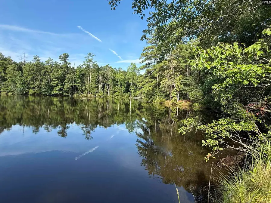 469 Brodie Road, Leesville, SC 29070 - #2