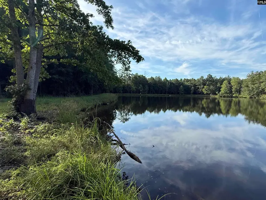 469 Brodie Road, Leesville, SC 29070 - #3
