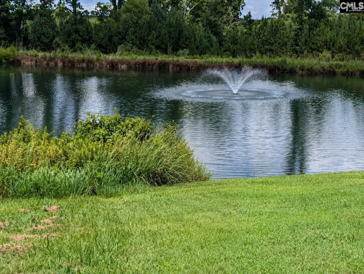 509 Golden Rod Court, Blythewood, SC 29016 - #1