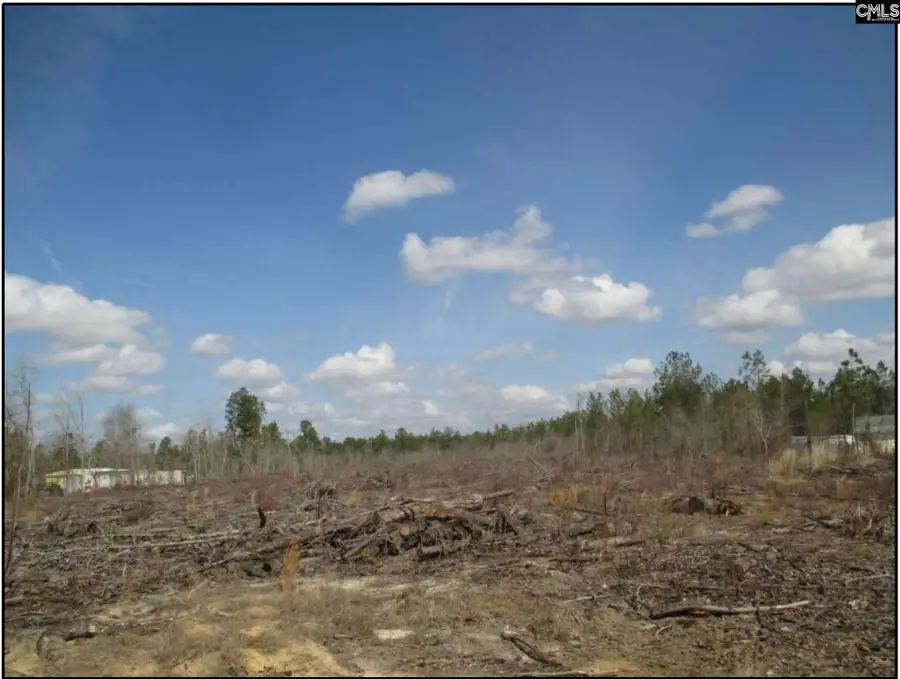 000 Webbs Pond Rd, Williston, SC 29853 - #2