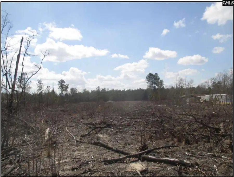 000 Webbs Pond Rd, Williston, SC 29853 - #3