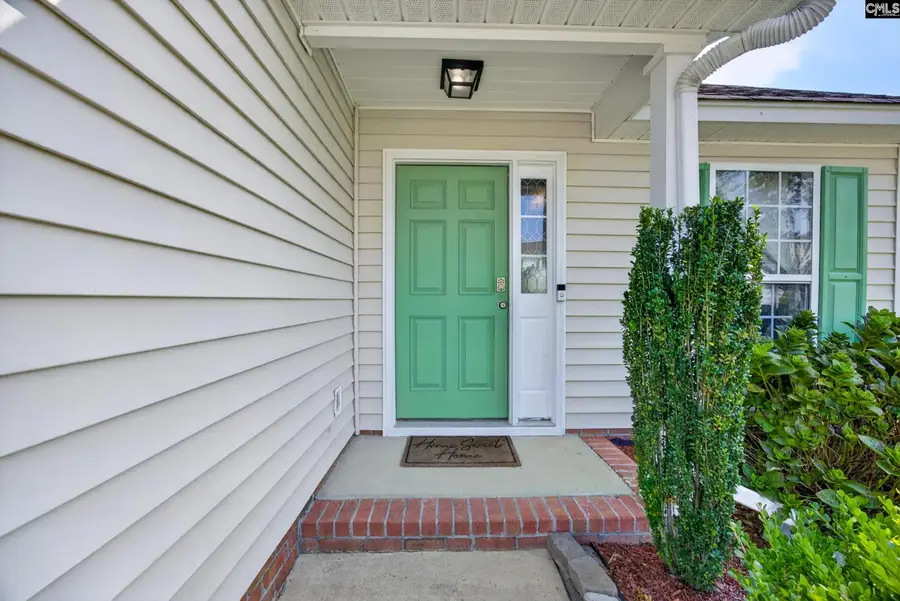 233 Stagone Lane, Lexington, SC 29073 - #3