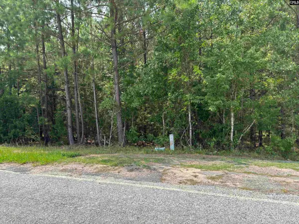 2112 Chappelltown Road, Winnsboro, SC 29180