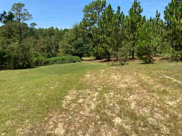 TBD Mack Street, Gaston, SC 29053