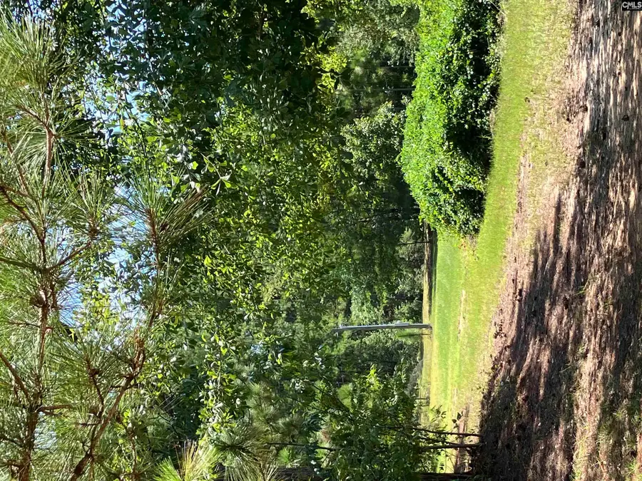 TBD Mack Street, Gaston, SC 29053 - #2