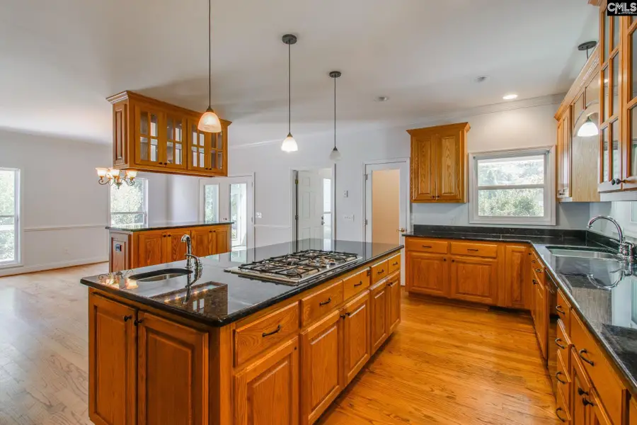 703 Mt Ebal Road, Batesburg, SC 29006 - #2