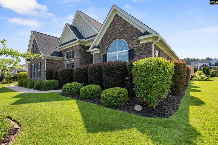 429 Wentworth Way, Gilbert, SC 29054 - #3