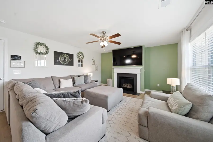 938 Native Rye Way, Lexington, SC 29073 - #2