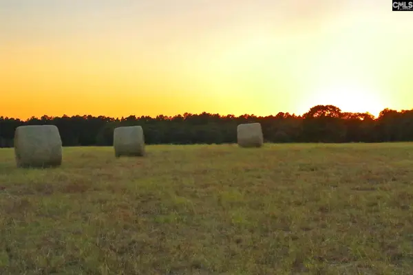 TBD Browns Pond Road, Wagener, SC 29164