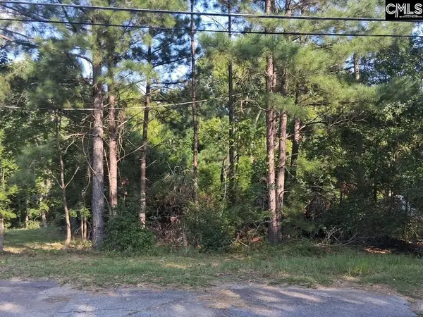 84 Calhoun Street, Whitmire, SC 29178