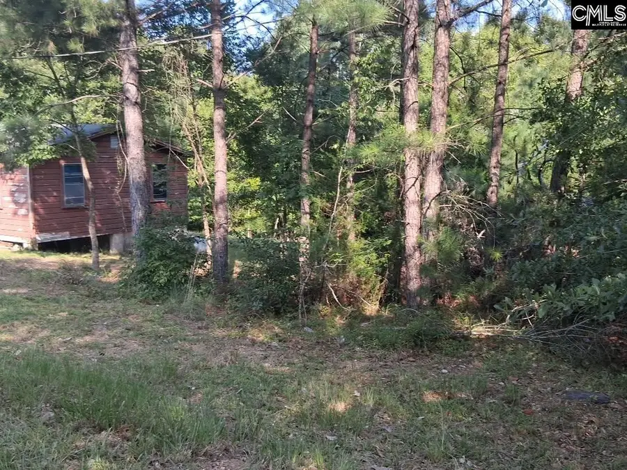 84 Calhoun Street, Whitmire, SC 29178 - #2