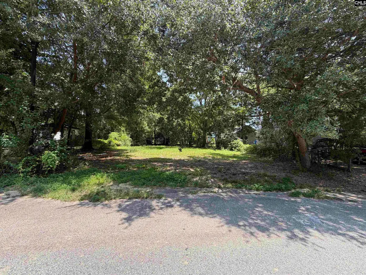 1304 Highland Avenue, Camden, SC 29020 - #1