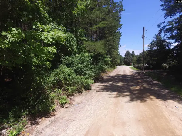 0 English Drive, Lexington, SC 29073