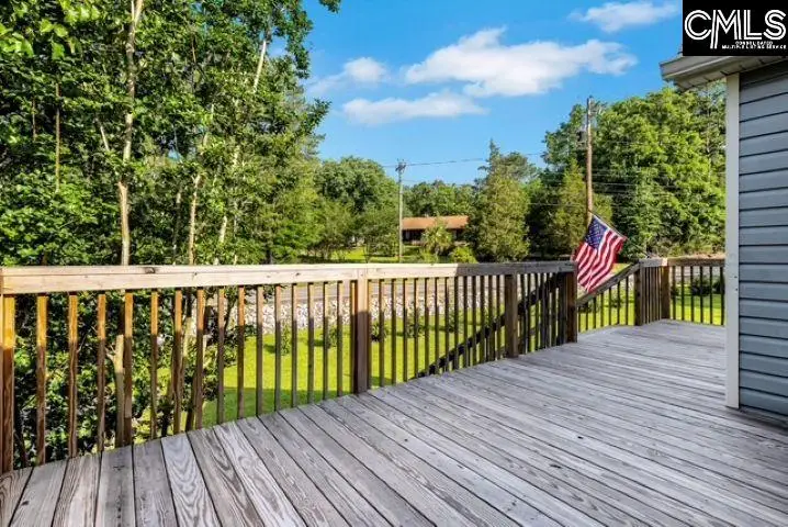 1735 Old Hilton Road, Chapin, SC 29036 - #3
