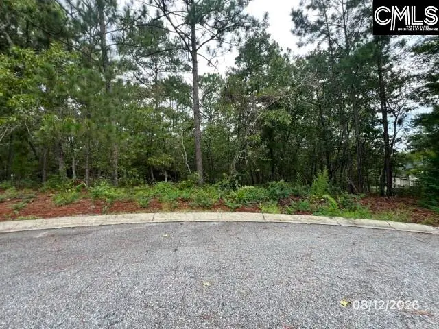 4 Lost Dog Court, Elgin, SC 29045 - #1