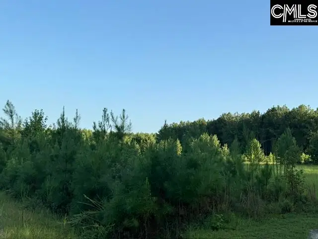 0 Charmaine Lane, Orangeburg, SC 29118 - #2