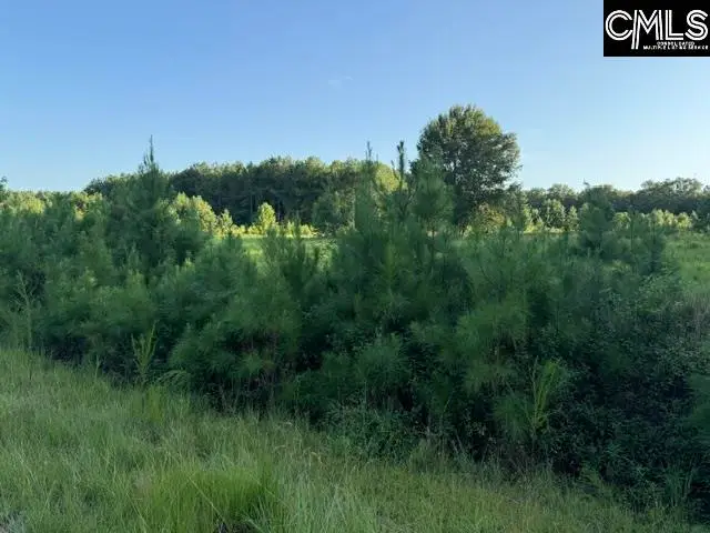 0 Charmaine Lane, Orangeburg, SC 29118 - #3