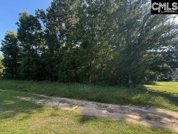0 Dora Road, Orangeburg, SC 29115