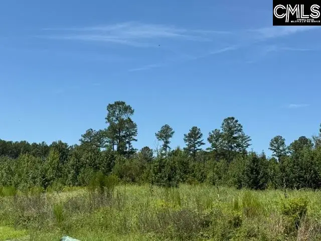 0 Lathan Drive, Orangeburg, SC 29118 - #1