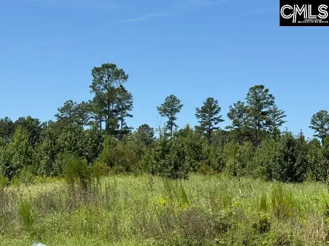 0 Lathan Drive, Orangeburg, SC 29118 - #2