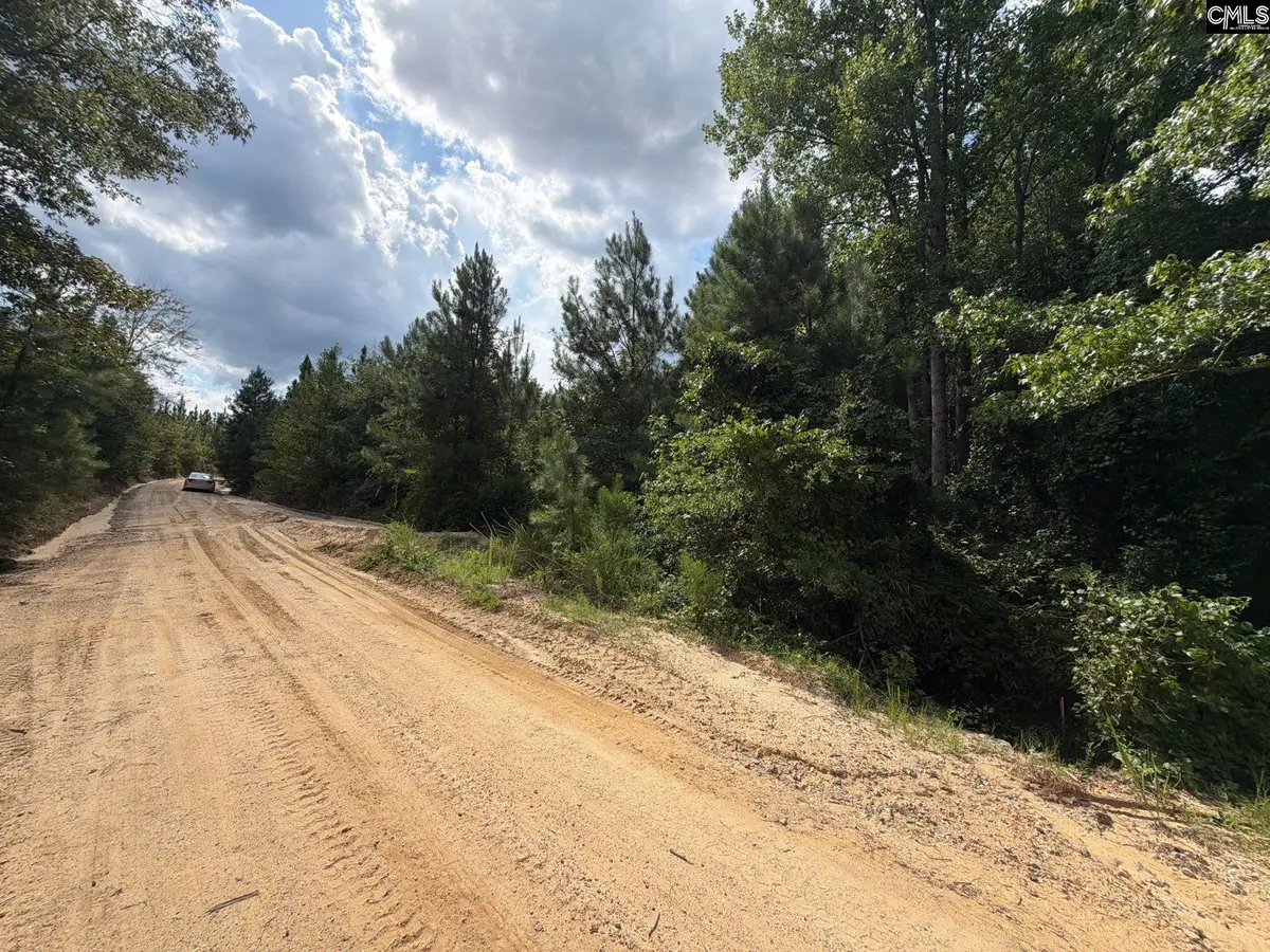 BTF 1 Bradley Trail, Mount Pisgah, SC 29067 - #1