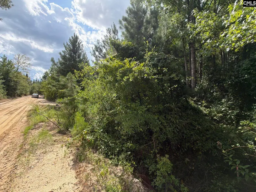 BTF 1 Bradley Trail, Mount Pisgah, SC 29067 - #3