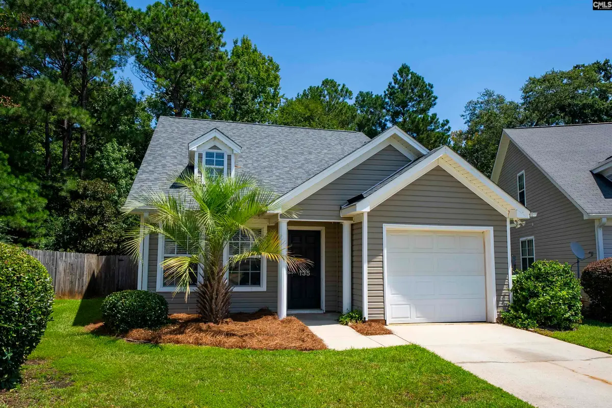 135 Merowey Court, Chapin, SC 29036 - #1