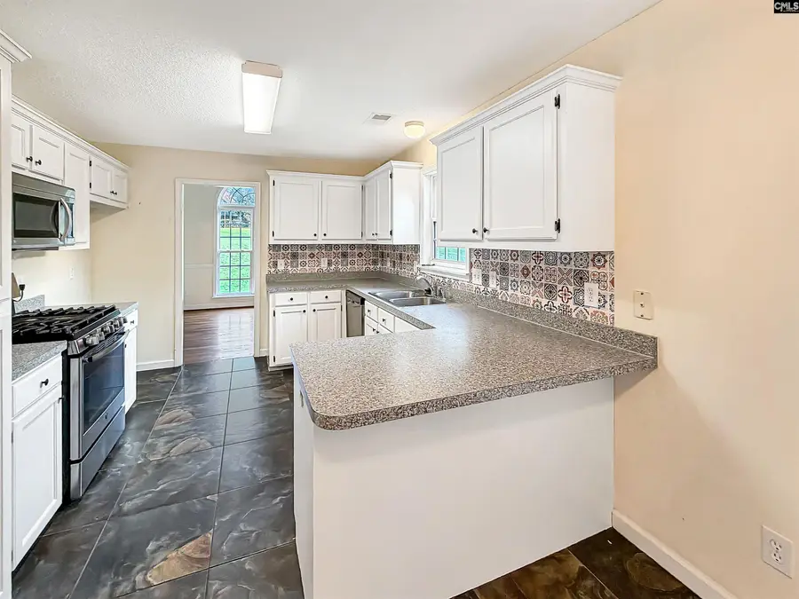 168 Hollow Tree Court, Lugoff, SC 29078 - #2