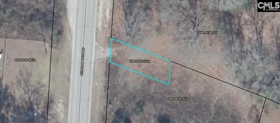 3130 Kershaw Highway, Westville, SC 29175 - #1