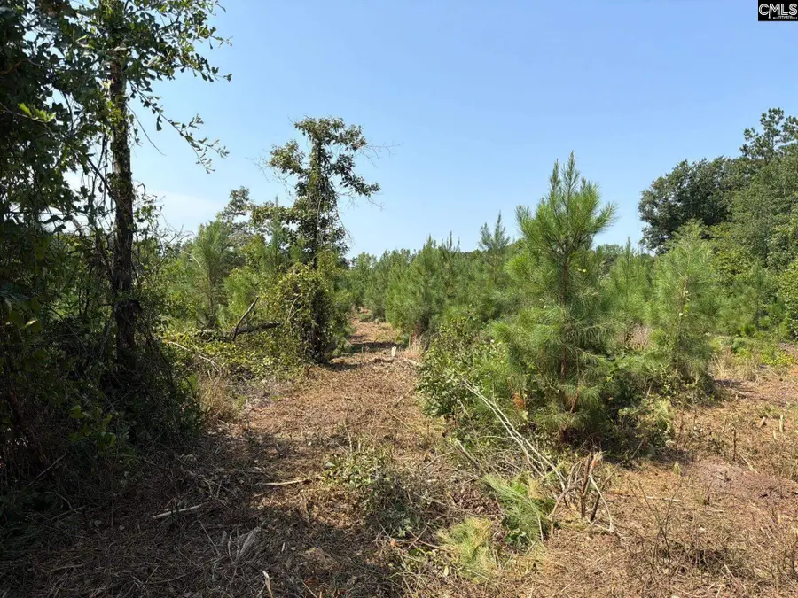 BTF 2 Bradley Trail, Mount Pisgah, SC 29067 - #3